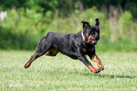 Caoimhe-Saoirse Rott