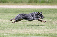 MCH72481