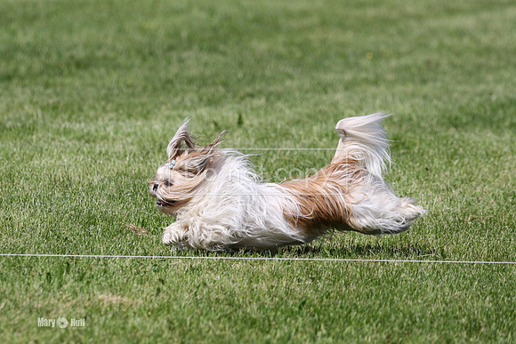 MCH78415