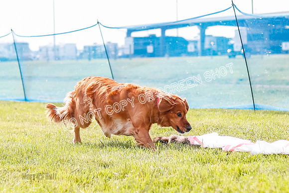 _E4I0393