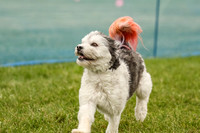 MCH71649