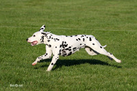 MCH77495