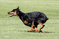 Mina Dobe