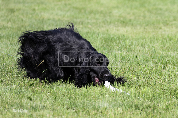 MCH78223