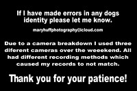 Dog Identity copy