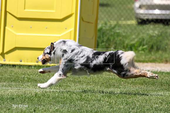 MCH77178