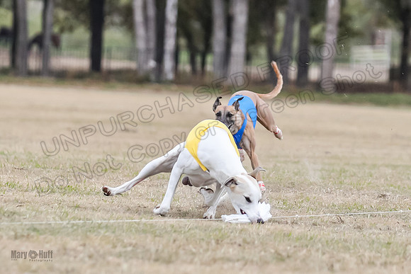Finals Open 2 Cheese PeteySue Treble-3963