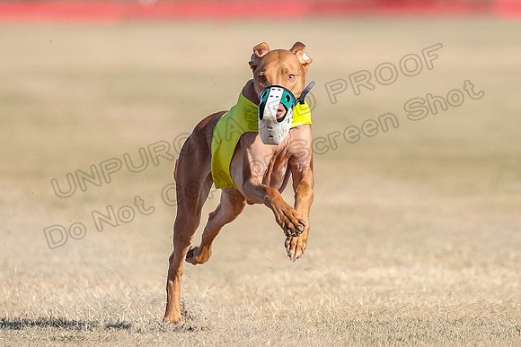 1Prelims Spec 2 Tango Cuest-0906