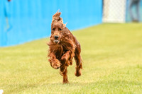 MCH71963