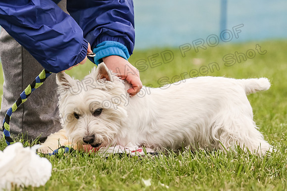 MCH72595