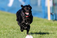 AE4I0480