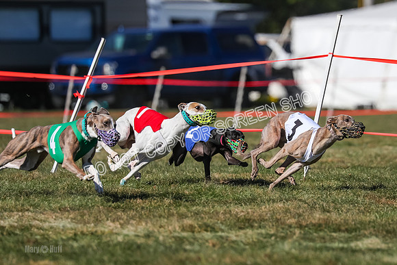 Prg 4, Race 11, Rebel Nami Grit Moonstruck-2708