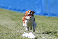 AE4I4976