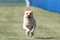 AE4I3462