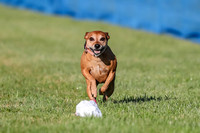 AE4I0525