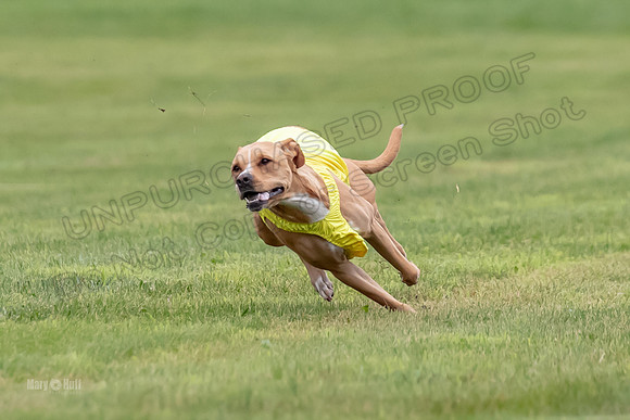 Prelims Zara-0805