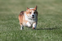 AE4I2351