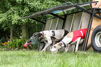 prg 1 race 2 Tissy Wallie Frankie Elsa-3506