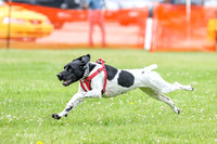 MCH71447