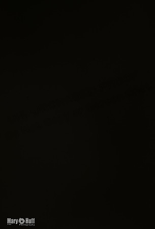 AE4I1028