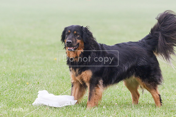 MCH70924