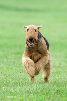 MCH70344