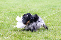 MCH70829