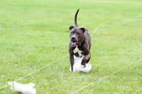 MCH70453