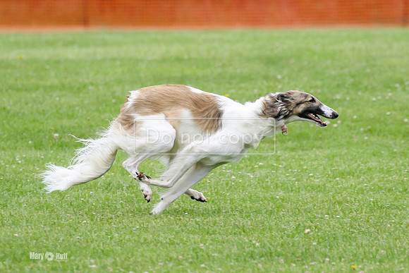 MCH71190