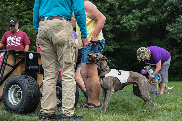 prg 1 race 4 lola Willow Finely Ullr Ready-3574