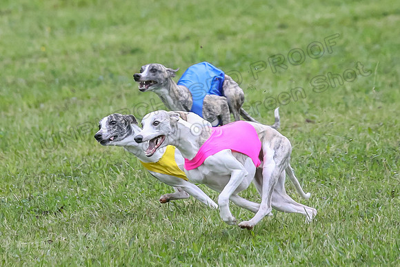 Prelim Open E1, Rip Mateo Maverick-9009