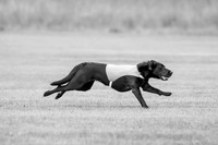 Prelims Rowan-0843-2