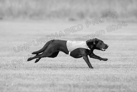 Prelims Rowan-0843-2