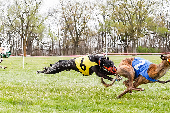 WRA, Prg 4, Race and 7, Voodoo Snacks Java Savvy Entei Henry-9386