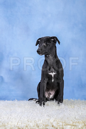 MCH59615  Emery
