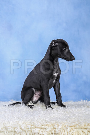 MCH59623  Emery