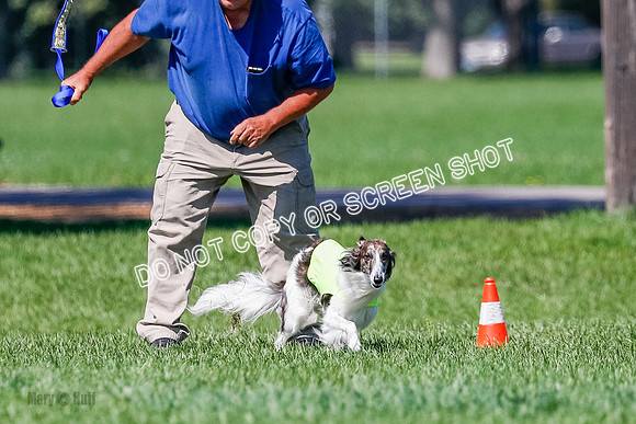 Silken Windhound Finals, Finnegan-3958