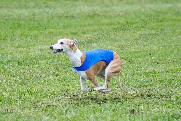 Prelim Open E2, Riddle Finely Scarlet-4871