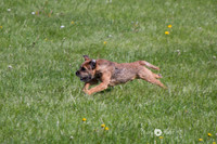IMG_1077