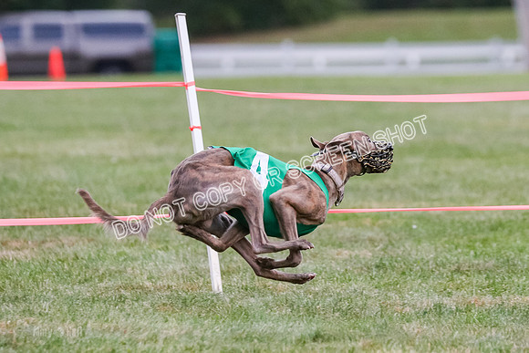 Prg 1, race 10, Bobo Piper Elvis Grit-0822