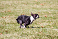 IMG_9620