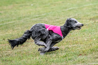 1 Prelims Ellie-1936