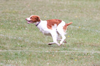 IMG_1025