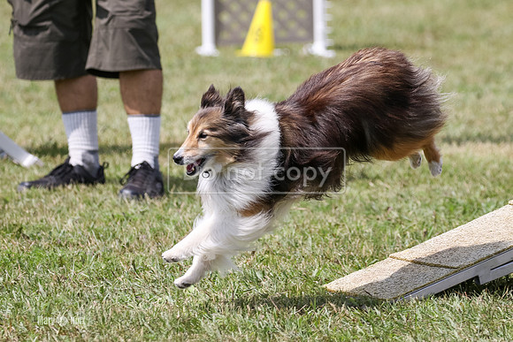 MCH71132