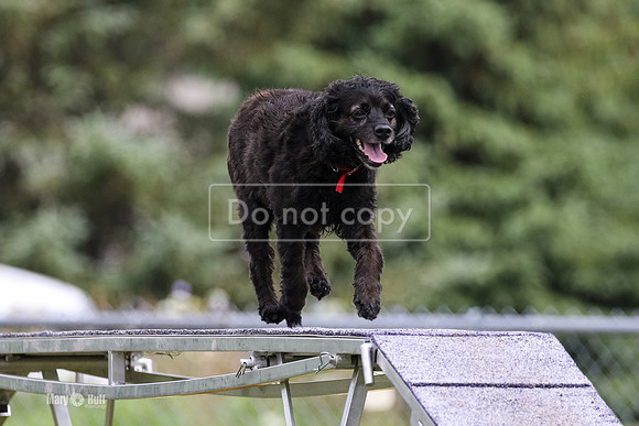 MCH70774