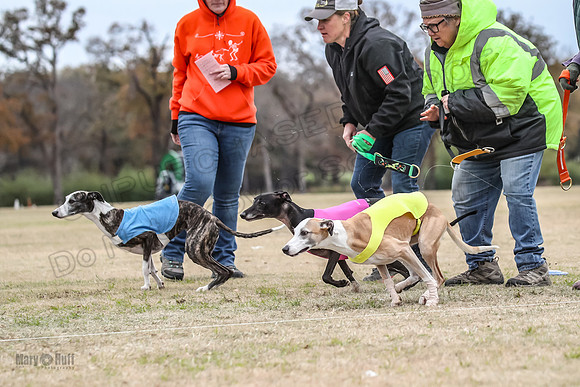 Finals Open 3 Scorch Shine Kashi-4014