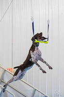 3H-BH-0810-AirRetrieve-2602