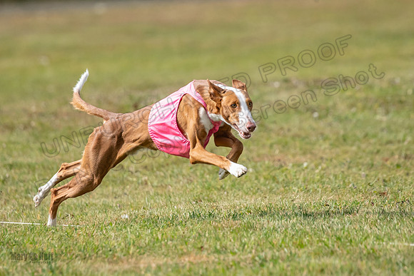 Finals Open 1 Jagger Maverick-3010