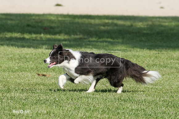 MCH75259