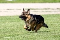 Cruise GSD
